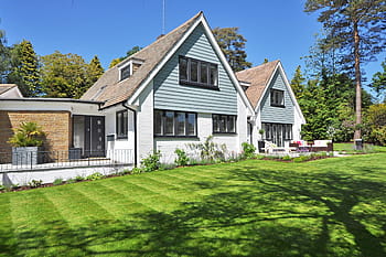 Weiß, hölzern, Haus, neben, Grün, blätterte, Bäume, schönes Zuhause, Garten, New England Stil, Landschaftsbau