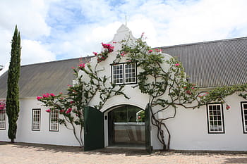 south africa, winery, input, home, winelands, tourism, stately, building, wine country, ried roof, architecture