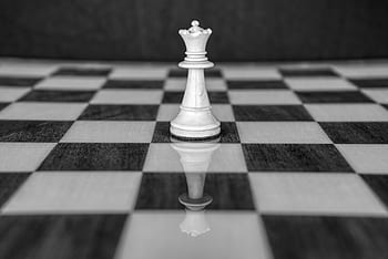 Regina, scacchi, scacchiera, pezzi degli scacchi, bianca, gioco da tavolo, nero, gioco di scacchi, campo da gioco, figura, gioco di strategia
