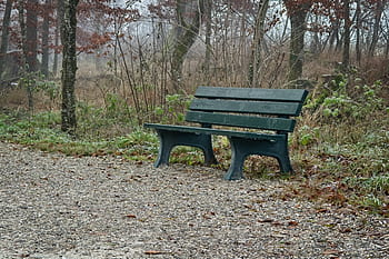 mlha, sedadlo, lavice, ven, Příroda, zotavení, dřevěné lavice, tichý, odpočívadlo, podzim, idylický