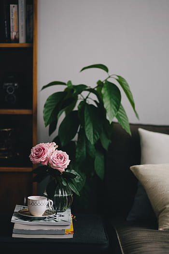 adorável, roseses, livro, café, rosa, rosas, interior, descansando, relaxar, essencial, leitura