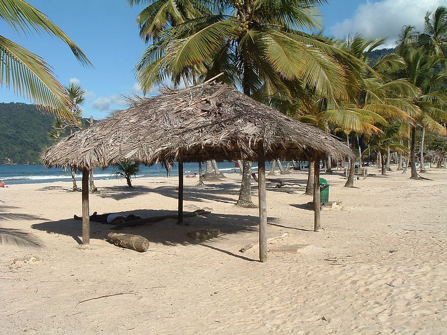trinidad, ocean, beach