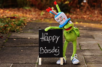 kermit, žába, hospodářství, vývěsní štít, narozeniny, Gratulujeme, blahopřání, radost, štěstí, šťastný, Pozdrav