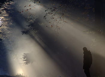 silhouette photo, man, standing, woods, ray, light, morning, shadow, silhouette, hell, sun