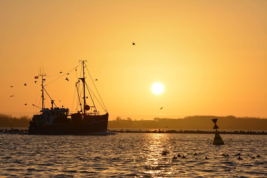 silhouette, nave, corpo, acqua, d'oro, ora, Boje, mare, tramonto, mare del Nord, Fehmarn