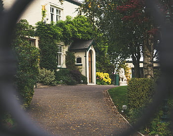house, home, residence, path, road, lawn, grass, trees, plants, bushes, vines