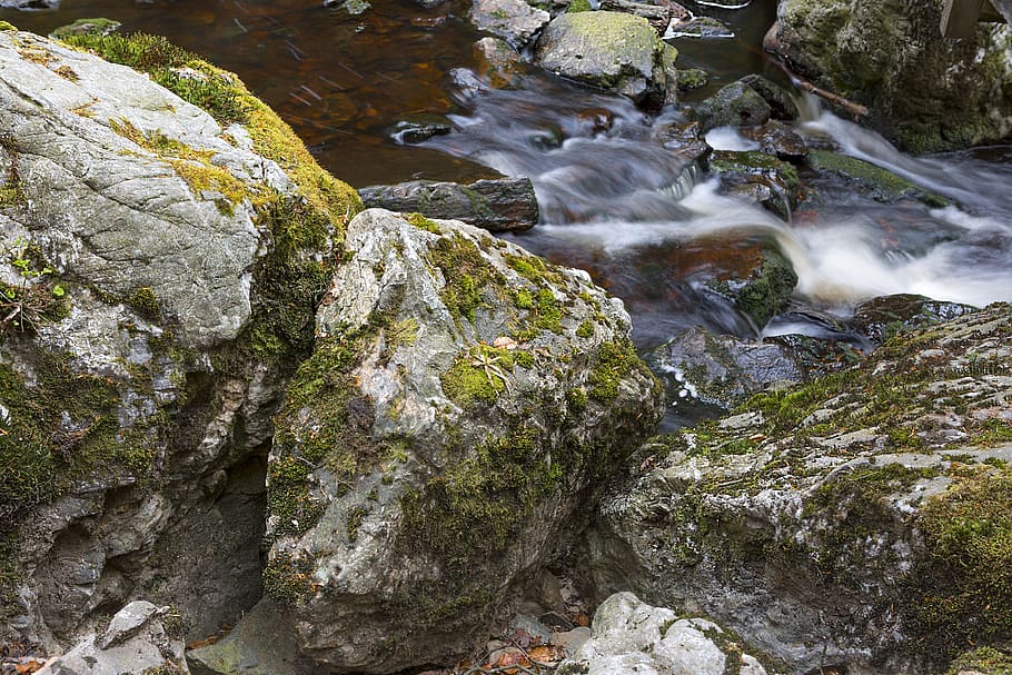 high fens, ardennes, belgium