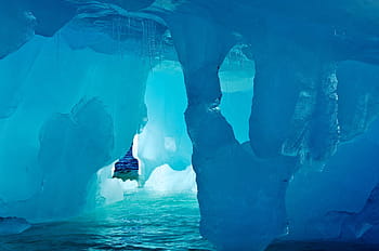 雪峡谷、 氷、 南極、 寒さ、 自然、 青、 屋外、 環境、 気候、 極、 冬