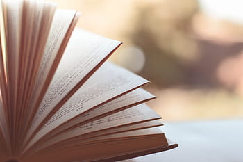 copertina rigida, sfocatura, sfocato, libro, pagine del libro, letteratura