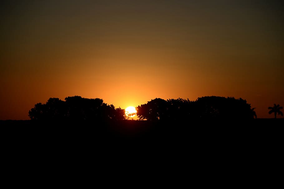 sunset, silhouette, horizon, sol, landscape, tree, afternoon, nature, against light, ceu, sky