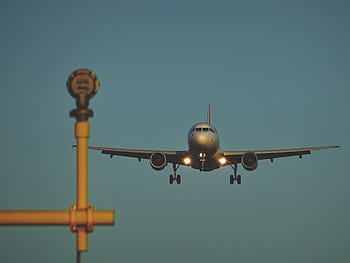 white, plane, blue, sky, landing, airplane, airline, travel, trip, flight, commercial Airplane