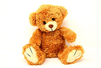 brown, teddy, bear, plush, toy, soft toy, bears, funny, teddy bear, cute, stuffed animal