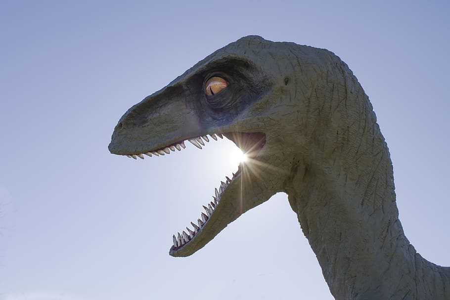 dinosaur, reptile, nature, jurassic, wildlife