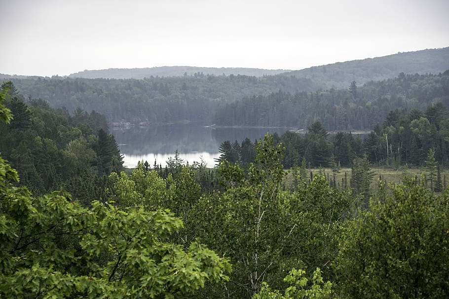 lake landscape, foggy, day, algonquin, provincial, park, Lake, landscape, a foggy day, Algonquin Provincial Park, Ontario