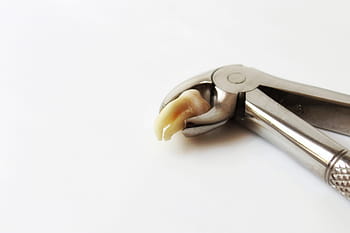 tooth, dentist, molar, wisdom tooth, tooth removal, tooth extraction, pliers, zahnarztpraxis