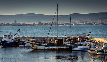 blu, bianca, barca a vela, bacino, barca, verde, acqua, architettura, costruzione, infrastruttura, mare