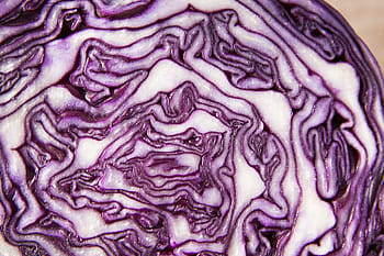 Červené, zelí, brassica oleracea, kohl, ruebkohl, zimní zelenina, jídlo, červené zelí, zdravý, syrové potraviny, oříznutí