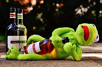 kermit, frog, holding, wine bottle, wine, drink, alcohol, drunk, rest, sit, figure