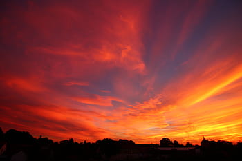 silhouette, alberi, rosso, cielo, crepuscolo, vita di villaggio, nuvole, tramonto, cielo drammatico, colore arancione, Paesaggi