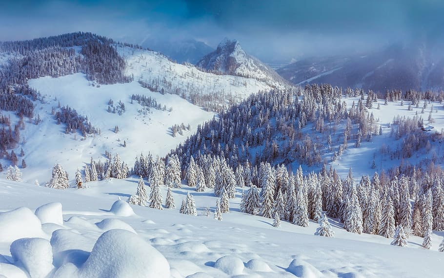 alberi, montagna, coperto, la neve, Austria, montagne, valle, inverno, foresta, boschi, paesaggio