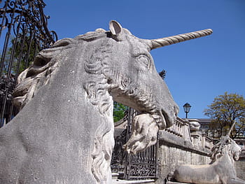 unicorn, salzburg, austria, statue, horse