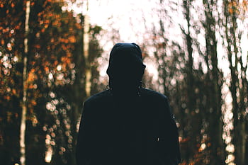 person, wearing, hoodie, surrounded, trees, people, man, alone, woods, forest, leaves