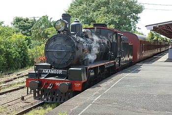 black, maroon, amamoor train, Amamoor, train, steam engine, locomotive, passenger train, puffing billy, steam powered, vintage