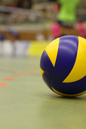 selektivní, zaměření fotografie, ]volejbal, pole, volejbal, sport, míč, volej, míčové sporty, týmový sport, soutěž