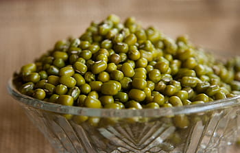 mung beans, moong beans, green gram, golden gram, beans, green