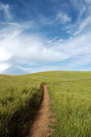 cesta, travnaté hřiště, cirrus mraky, Příroda, zelená, tráva, pole, trek, cestovat, dobrodružství, mraky