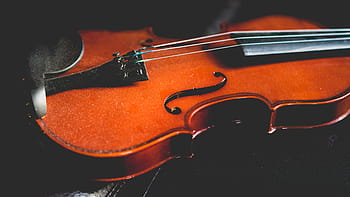 closeup, brown, violin, music, musical, instrument, sound, melody, musical Instrument, wood - Material, musical Instrument String