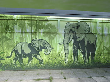 elephant, wall art, wall, zoo, berlin, lichtenberg, germany, animal, nature, wildlife photography, animal world