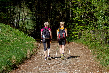 dva, osob, chůze, podél, cesta, během dne, sport, nordic walking, žena, přítelkyně, túra