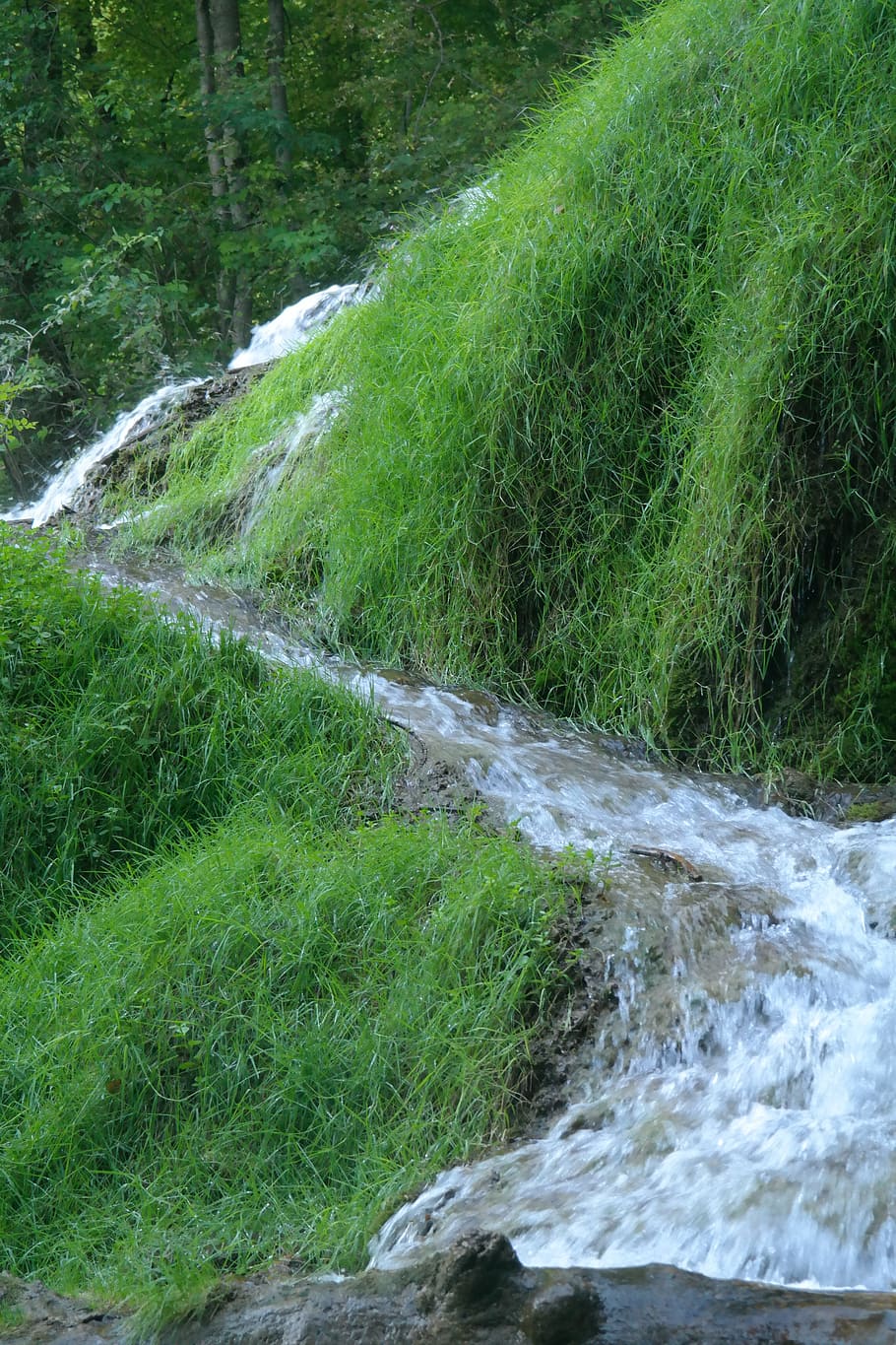 potok, voda, tok, mumlání, velký potok, idylický, zelená, strašidelný, mech, mechový, vodopád urach